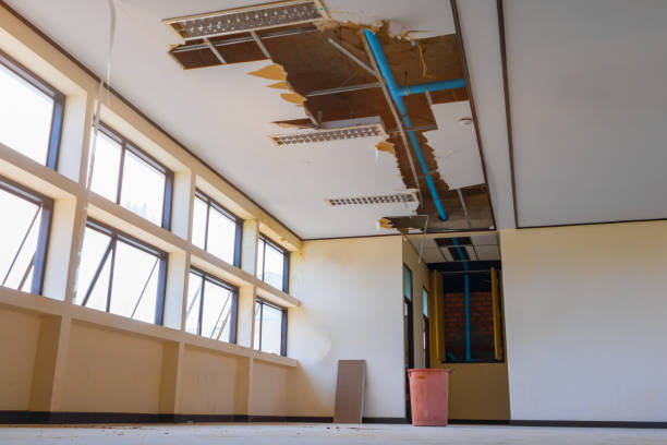 Water damage restoration mold remediation in CA