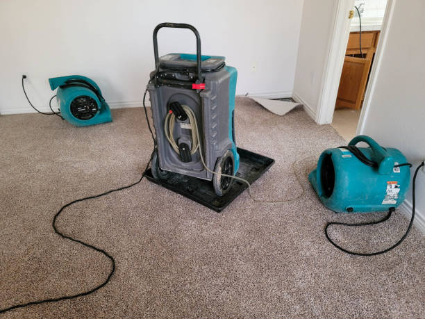 Best Mold removal after water damage  in Sacramento, CA