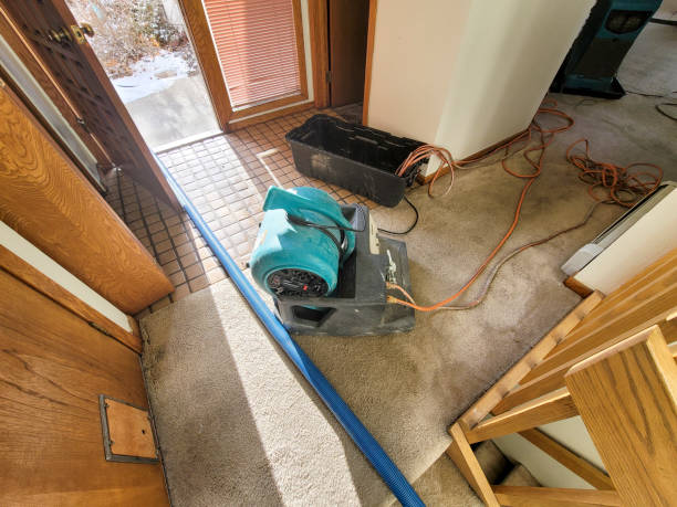 Best Professional water damage repair  in Sacramento, CA