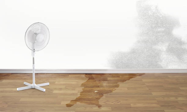 Best 24/7 water damage repair  in Sacramento, CA