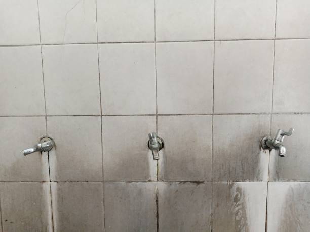 Best 24/7 water damage repair  in Sacramento, CA