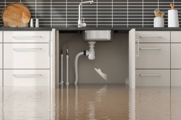 Best Flood restoration services  in Sacramento, CA