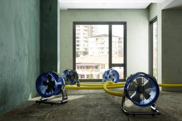 Best Water damage restoration mold remediation  in Sacramento, CA