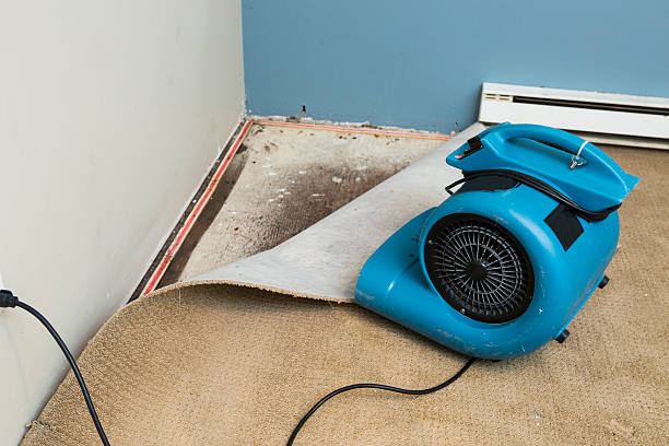 Best Local water damage restoration  in Sacramento, CA